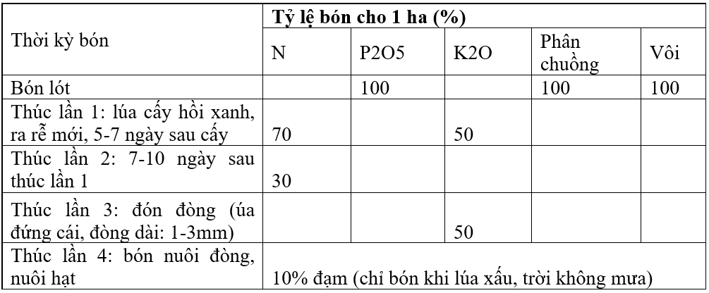 bai 4-moi-phan bon-bang2_1638160047.png